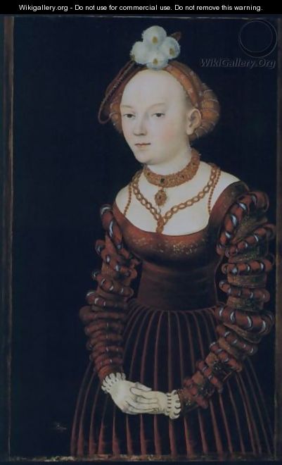 Portrait Of A Young Lady Dressed In A Red Velvet Dress And Wearing A Plumed Cap - Lucas The Elder Cranach