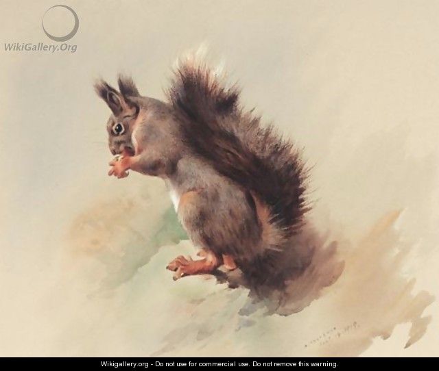 The Red Squirrel - Archibald Thorburn