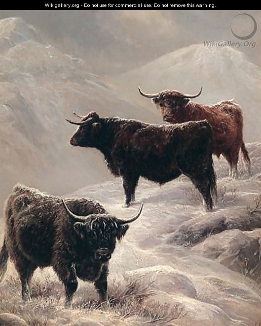Highland Cattle On The Hills - Charles Jones