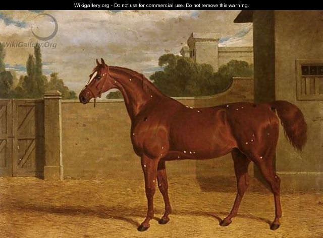Comus, A Chestnut Racehorse In A Stable Yard - John Frederick Herring Snr