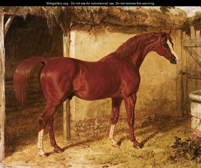 Langar, A Chestnut Racehorse Outside A Stable - John Frederick Herring Snr