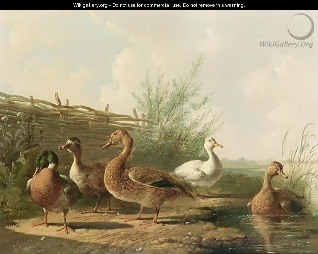 Ducks In A Landscape - Albertus Verhoesen