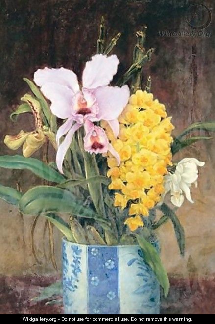 Orchids - William Gale
