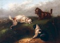 Terriers At A Rabbit Hole - (after) Edwin Armfield