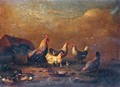 Chickens - Franz van Severdonck