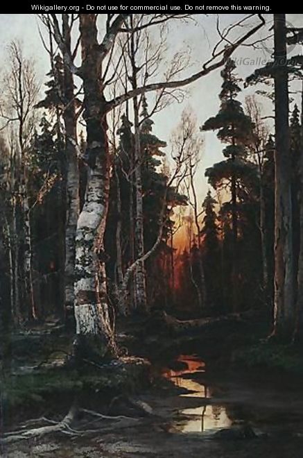 Birch Forest At Sunset - Iulii Iul