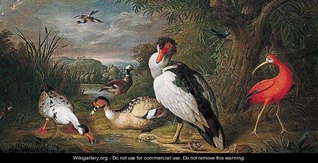 A Muscovy Duck, A Red Ibis And Other Fowl In A Landscape - Tobias Stranover