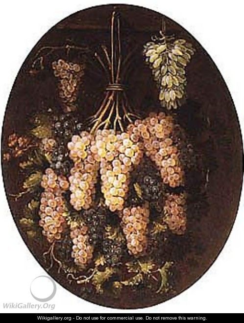 Still Life Of Red And White Grapes - (after) Francesco Malagoli