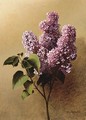 Blooming Lilac Stem - Gavril Kondratenko