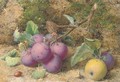 Still life of plums and an apple on a mossy bank - William B. Hough