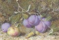 Plums, an apple and hazelnuts on a mossy bank - William B. Hough