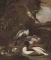 Ducks in a landscape - Willem Frederik van Royen