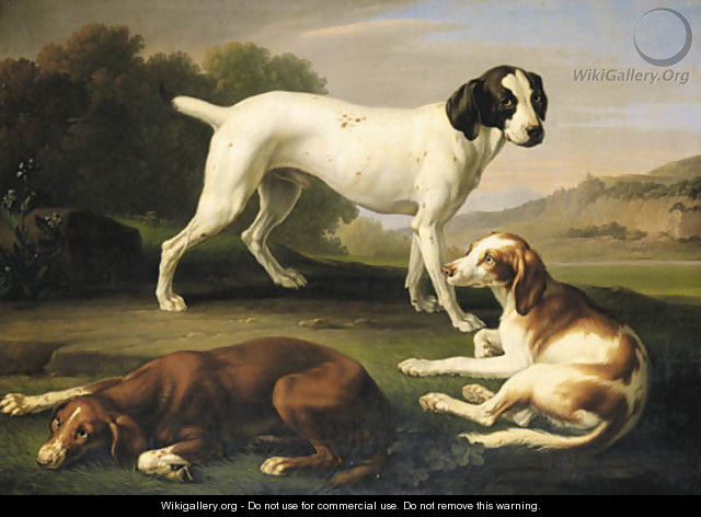 A pointer and two setters in an extensive landscape - Wenceslaus Peter