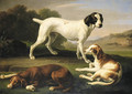 A pointer and two setters in an extensive landscape - Wenceslaus Peter