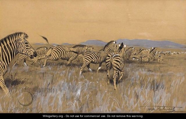 Herd of Zebra - Wilhelm Kuhnert