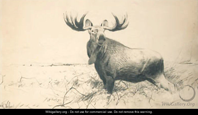 Elk - Wilhelm Kuhnert