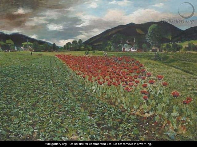 The poppy field - Wilhelm Braun
