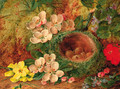 A bird's nest with apple blossom and primulas on a mossy bank - Vincent Clare