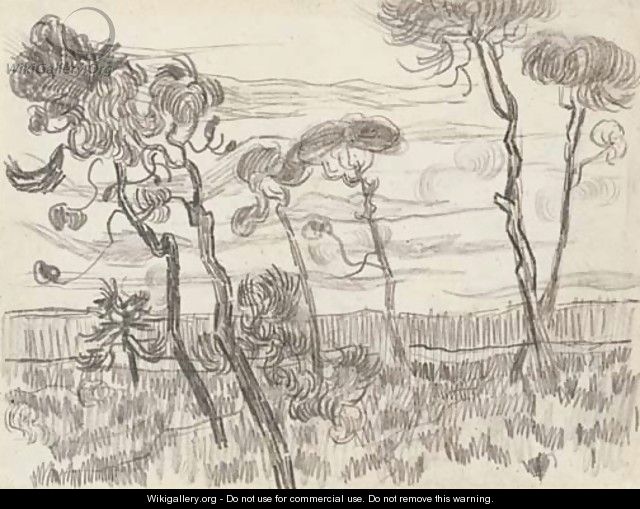 Six pines near the enclosure wall - Vincent Van Gogh