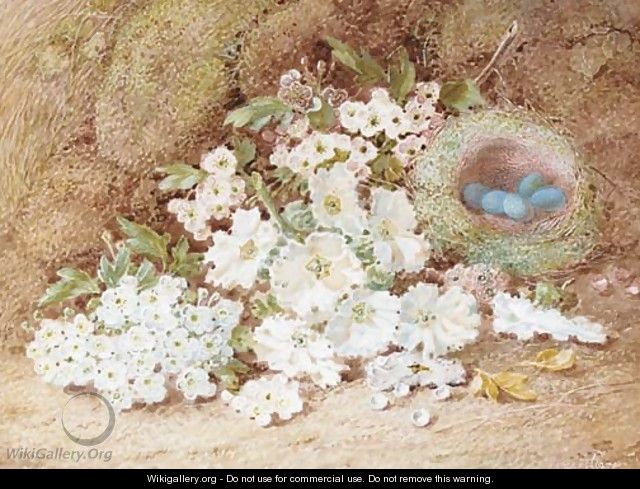 Still life with blossom and flowers on a mossy bank - Vincent Clare