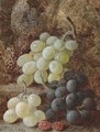 Grapes and raspberries - Vincent Clare