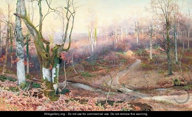 In the Heart of the Forest - Walter Follen Bishop