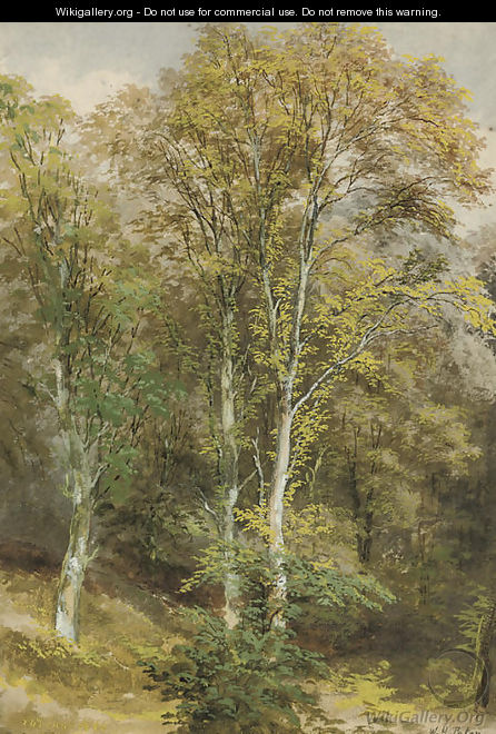Two woodland scenes - Waller Hugh Paton