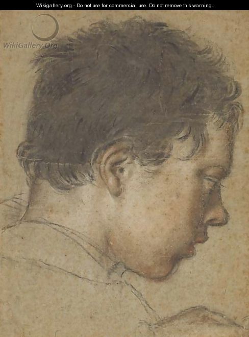 The head of a boy in profile looking down to the right - Venetian School