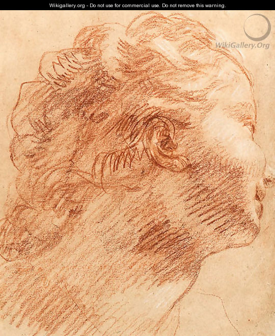 The Head of a Woman in profile to the right - Venetian School