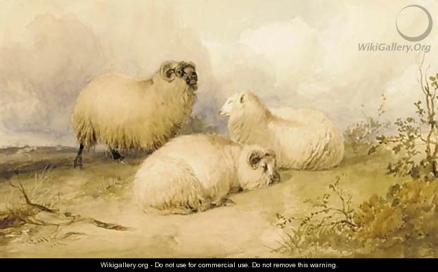 Two rams and a ewe - Thomas Sidney Cooper