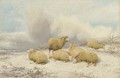 Sheep resting in the snow - Thomas Sidney Cooper