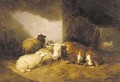 Cows and sheep in a barn - Thomas Sidney Cooper