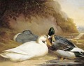 Ducks by a river - Thomas Woodward