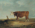 A longhorn cow in a landscape - Thomas Woodward