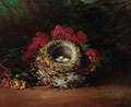 Apple blossom, bird's nests and eggs on a mossy bank - Tom Hold