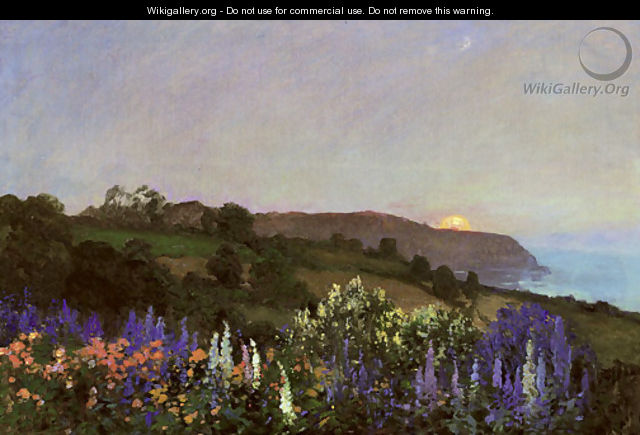 Delphiniums on a hillside at sunset - Thomas E. Mostyn