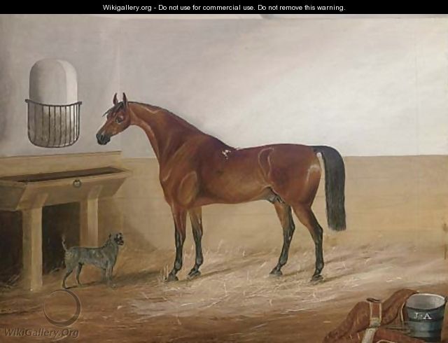 A bay hunter and a canine companion in a stable - Thomas Pain