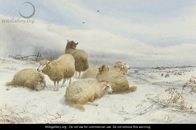 A flock of sheep in snow-covered fields - Thomas Sidney Cooper
