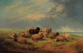 Sheep resting on a cliff top - Thomas Sidney Cooper