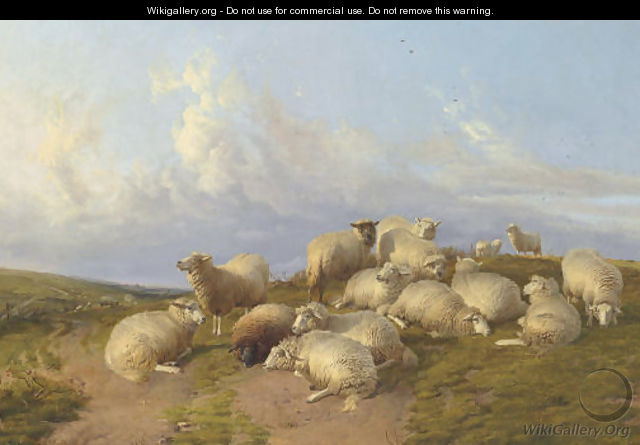 Sheep at Canterbury Meadow - Thomas Sidney Cooper