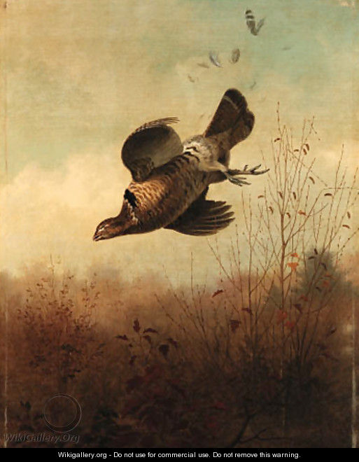 An American Grouse - Thomas Hewes Hinckley