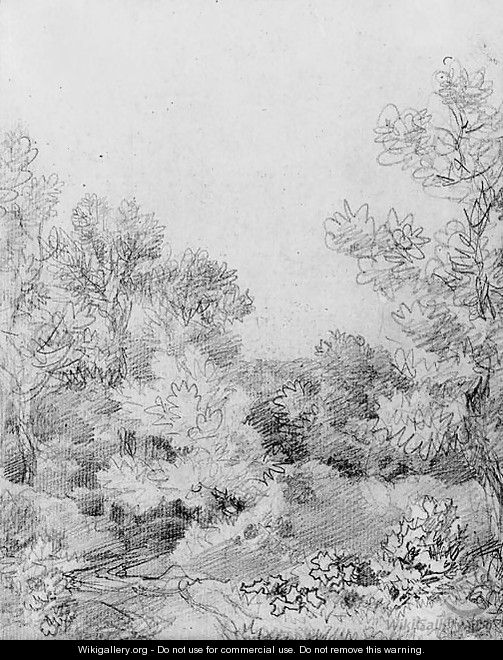Study of a track through a wooded landscape - Thomas Gainsborough