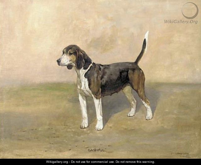 A beagle - Thomas Lloyd