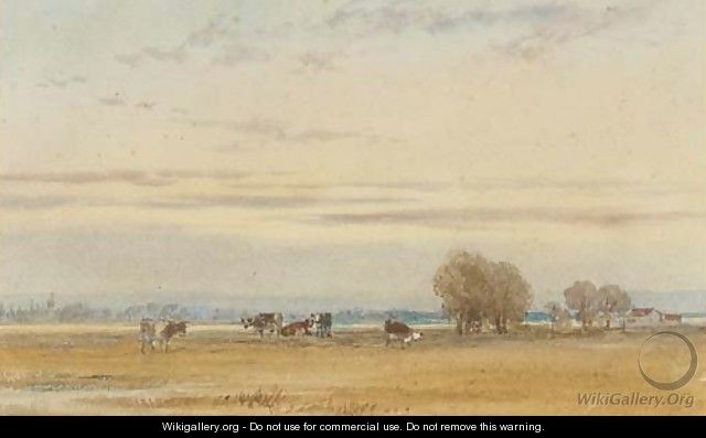 Cattle grazing in the water meadows at sunset - Thomas Lound