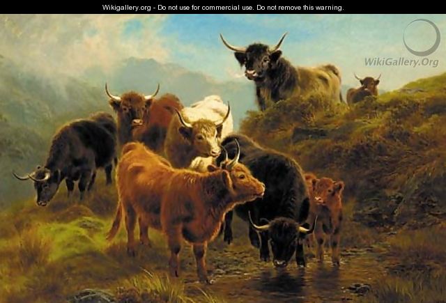 Highland cattle 2 - William Watson