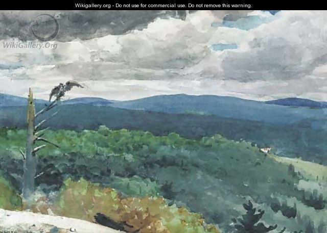 Hilly Landscape - Winslow Homer
