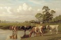 Cattle watering in a meadow - William Sidney Cooper