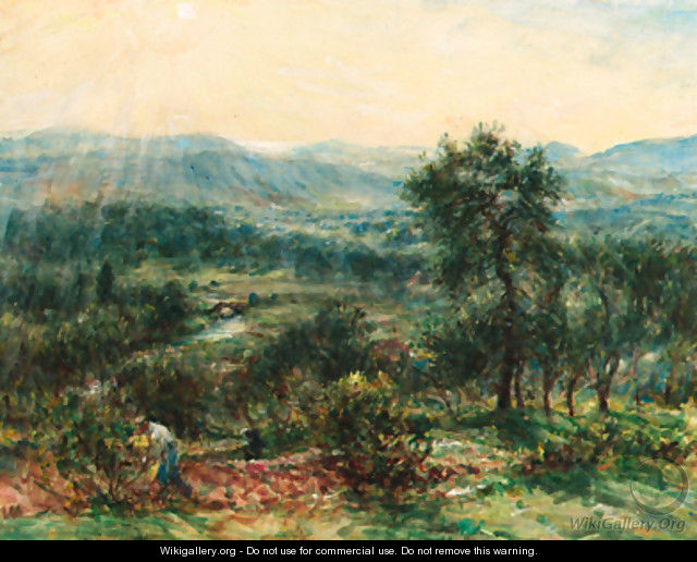 A peasant toiling in the heat of Provence - Mark Fisher