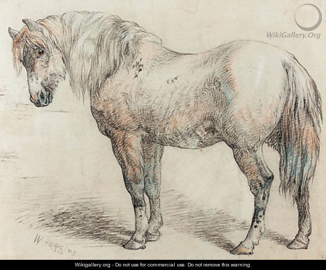 Study of a horse - William Huggins