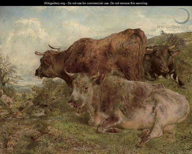 Highland cattle - William Huggins